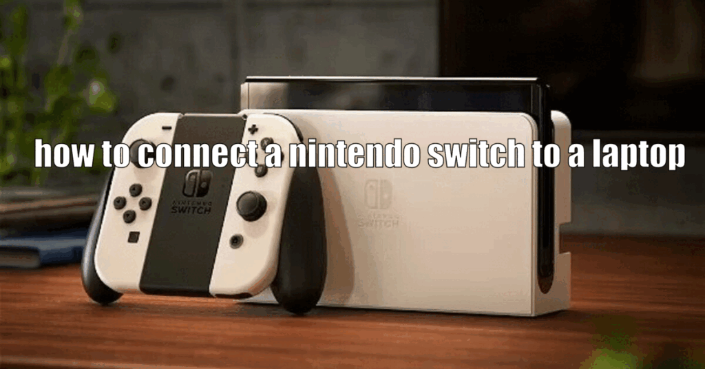 how to connect a nintendo switch to a laptop